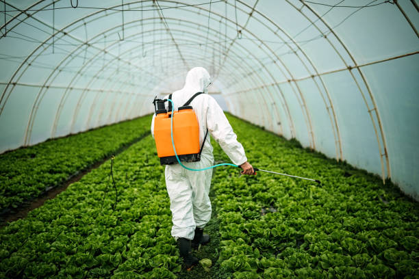 Best Commercial Pest Control Services  in Rio Linda, CA