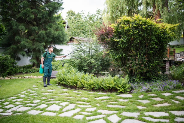 Reliable Rio Linda, CA Pest Control Solutions