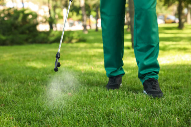 Best Pest Inspection Near Me  in Rio Linda, CA